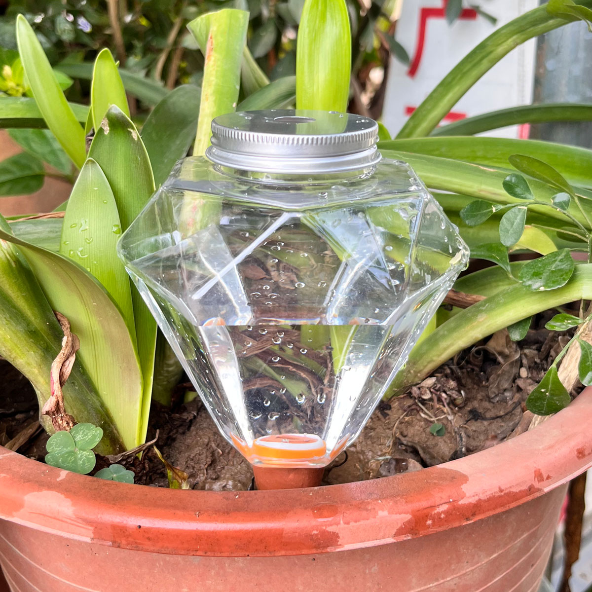 Automatic Plant Waterer - 1 Buah Mesin Penyiram Plastik Lucu,