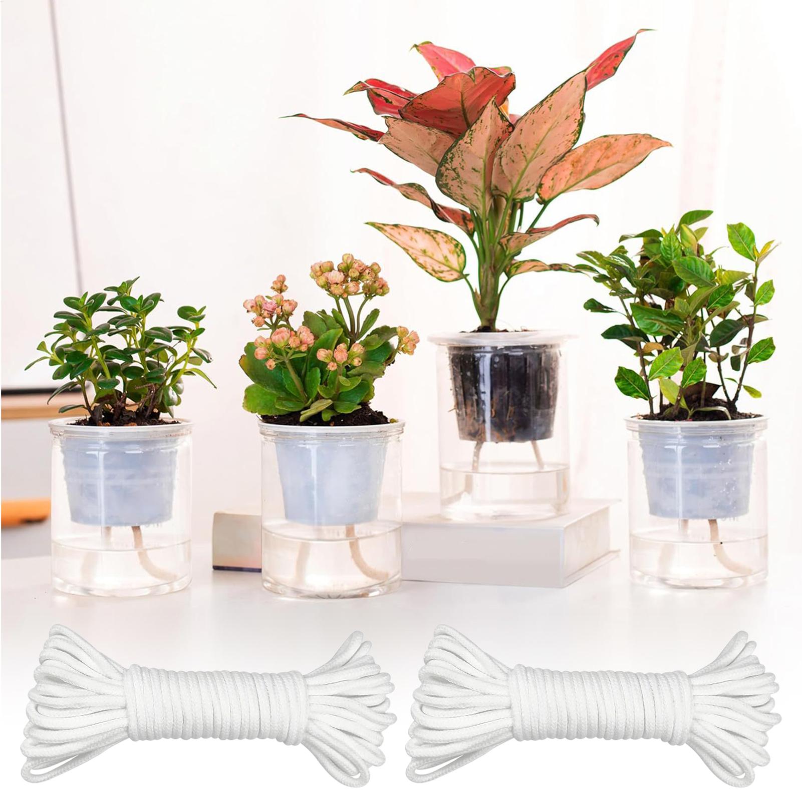Tali Penyiraman Otomatis 2-Pie - Automatic Plant Waterer ulasan dan harga