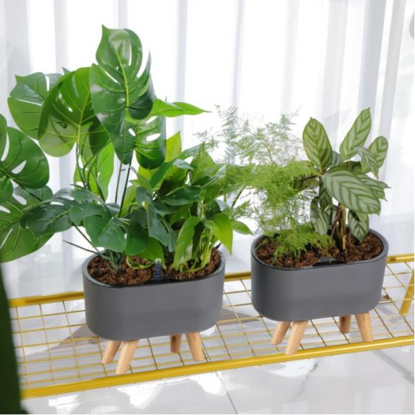 Pot Tanaman Self Watering Sede - Self-Watering Planter ulasan dan harga