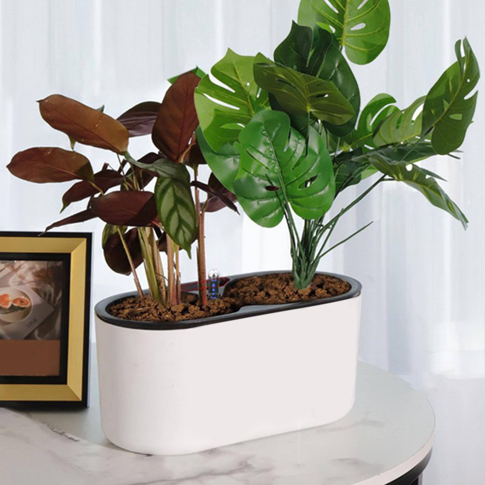 Pot Tanaman Self Watering Sede - Self-Watering Planter ulasan dan harga