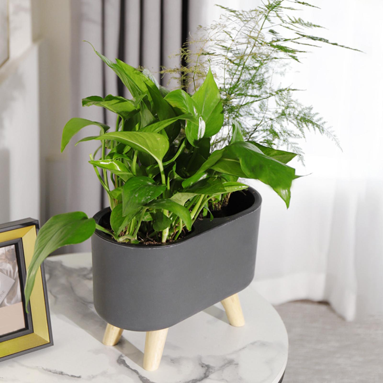 Pot Tanaman Self Watering Sede - Self-Watering Planter ulasan dan harga