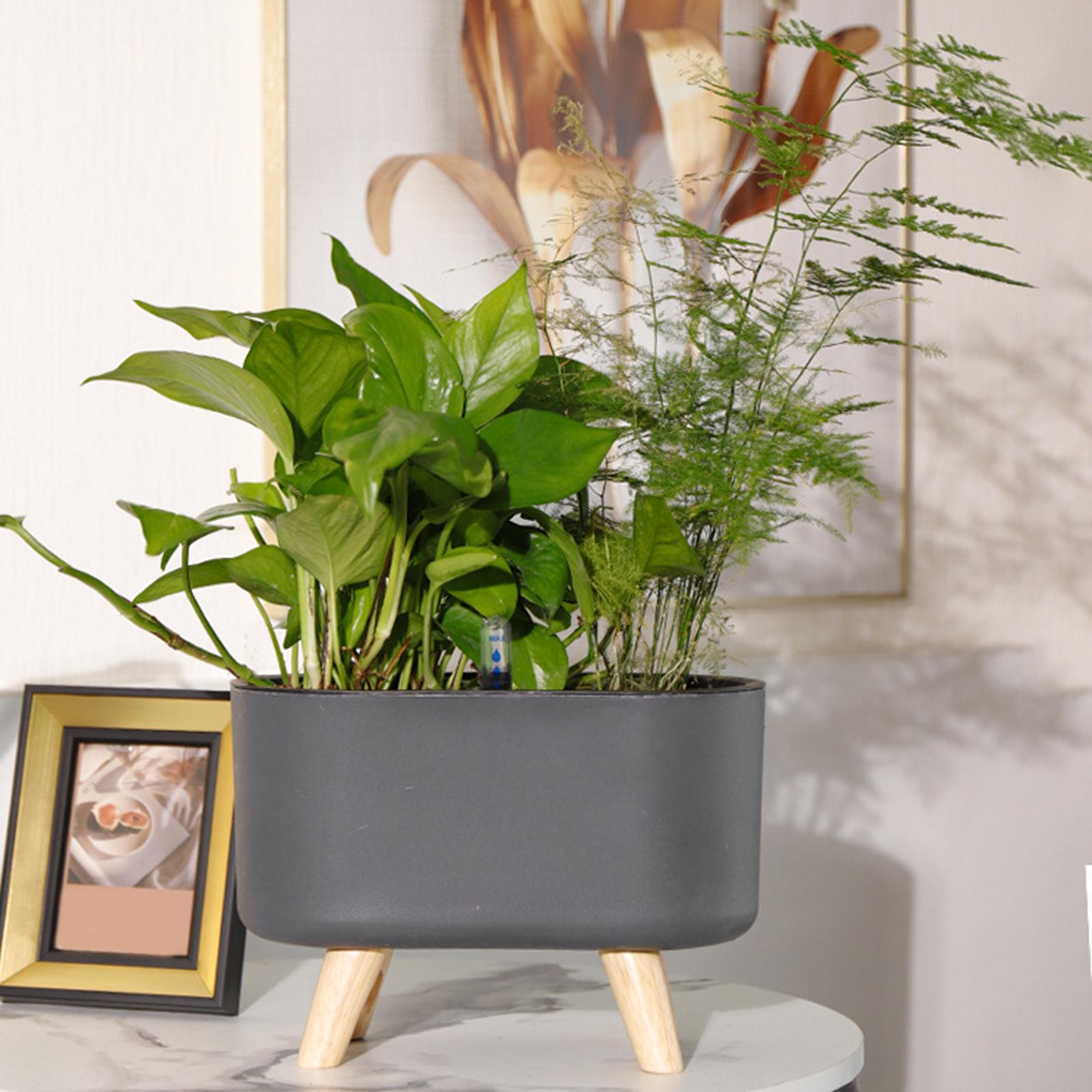 Pot Tanaman Self Watering Sede - Self-Watering Planter ulasan dan harga