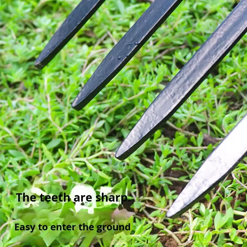 Garpu Besi Baja Empat Gigi unt - Spade Digging Fork ulasan dan harga