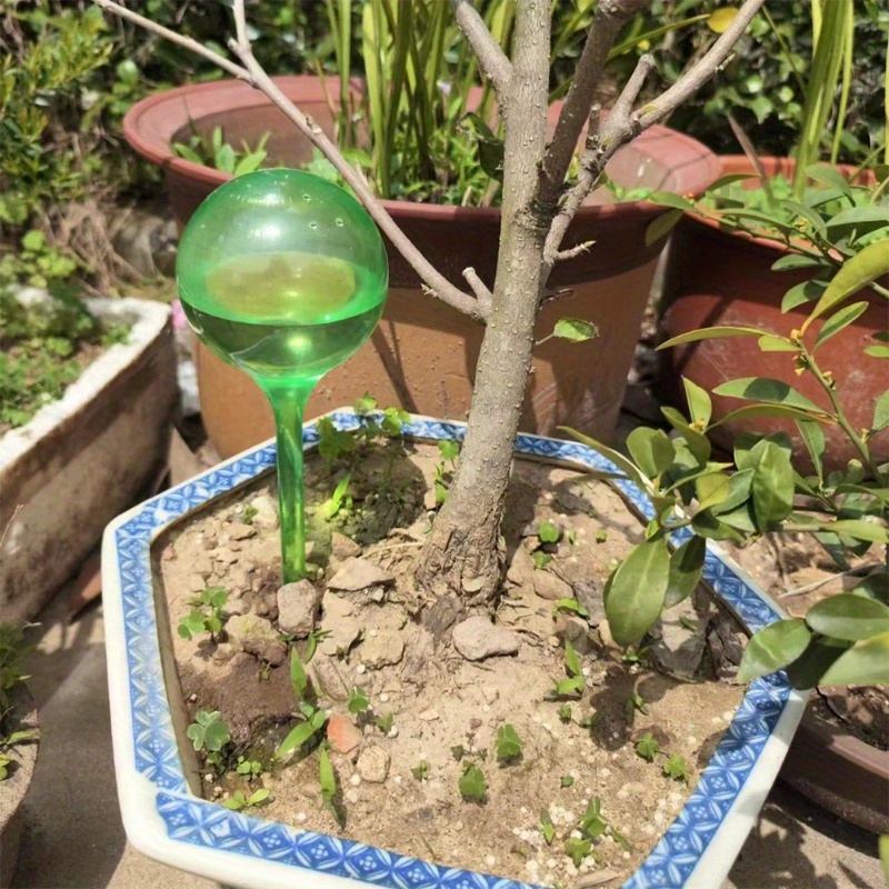 6PCS Bola Penyiram Otomatis un - Automatic Plant Waterer ulasan dan harga