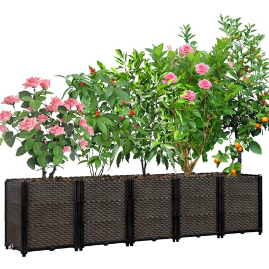 Kotak penanam tanaman yang dap - Self-Watering Planter ulasan dan harga