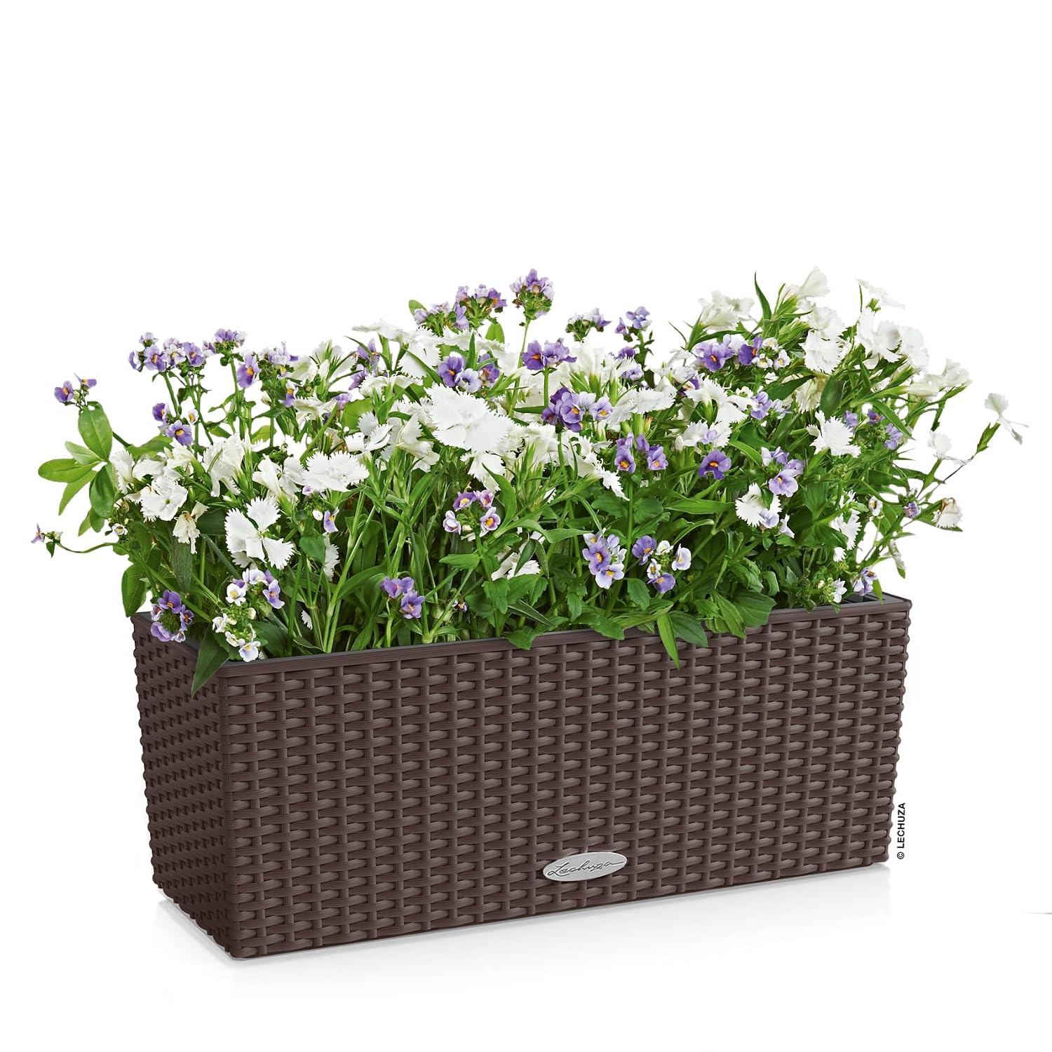 Kotak Tanaman Jendela dengan S - Self-Watering Planter ulasan dan harga