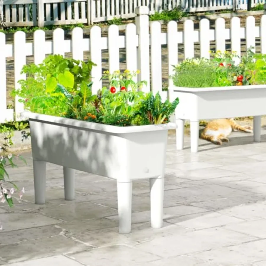 Set 2 Pot Tanaman Tinggi untuk - Self-Watering Planter ulasan dan harga