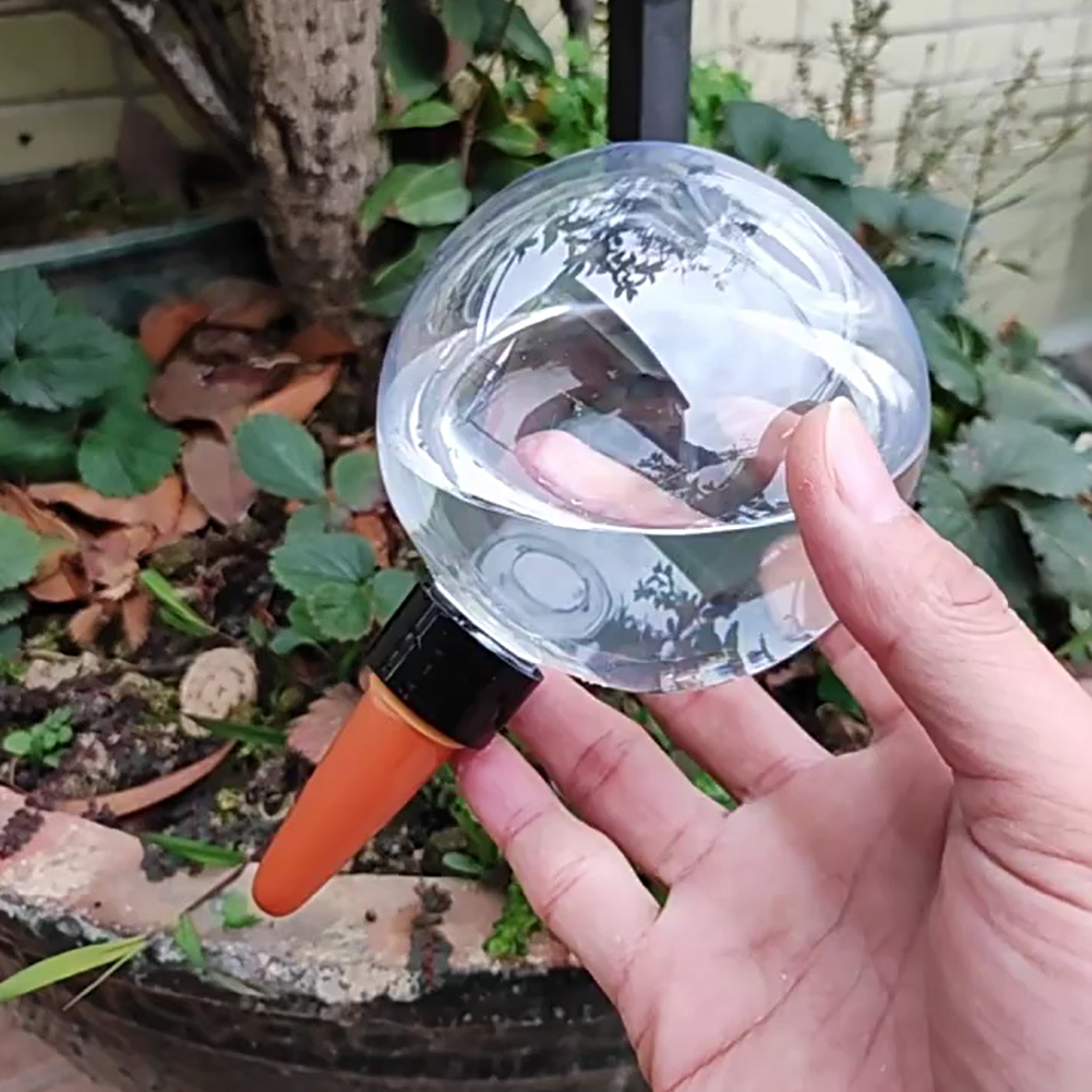 Sistem Irigasi Tetes Bola Peny - Self-Watering Planter ulasan dan harga