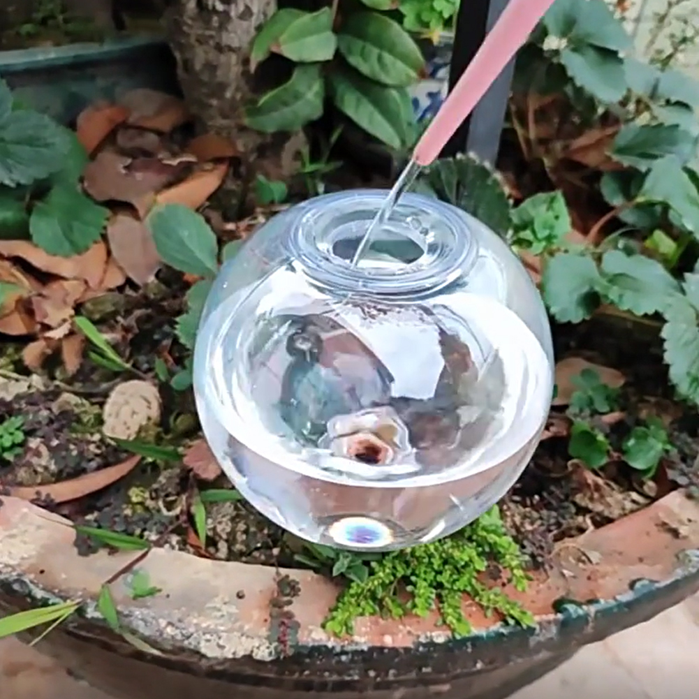 Sistem Irigasi Tetes Bola Peny - Self-Watering Planter ulasan dan harga