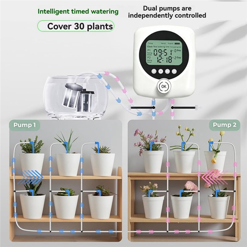 ALIM-Untuk 30 Tanaman Pot, Sis - Automatic Plant Waterer ulasan dan harga