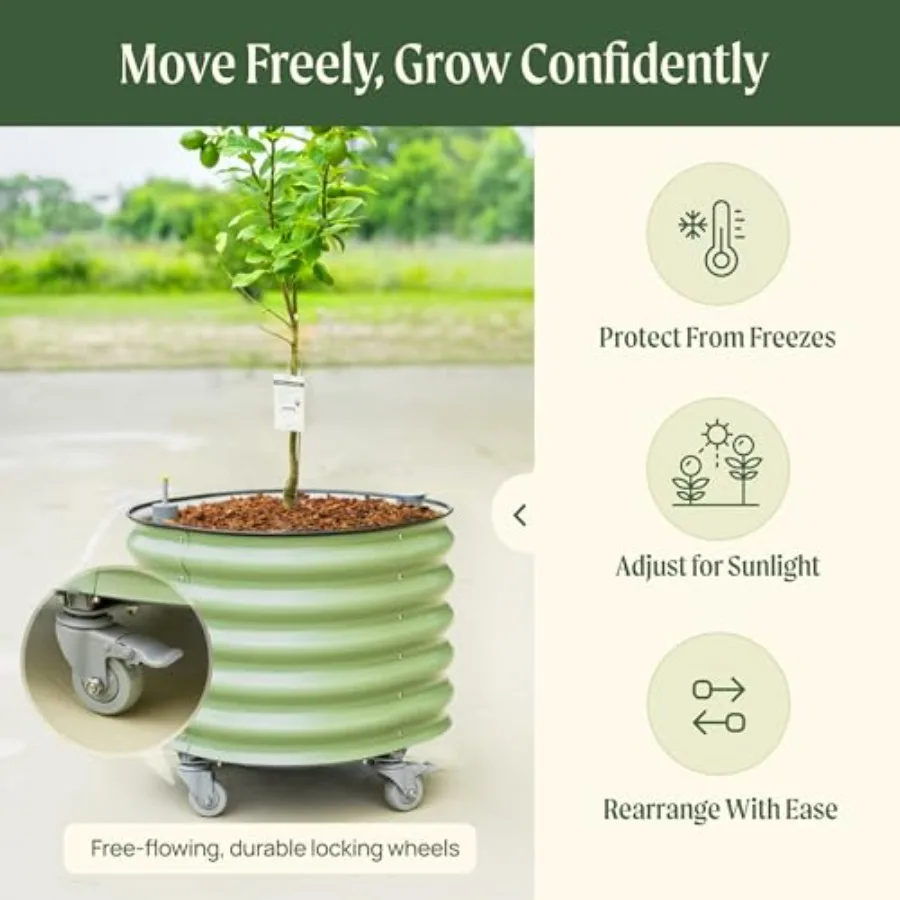 Pot Tanaman Pohon Jeruk Model  - Self-Watering Planter ulasan dan harga