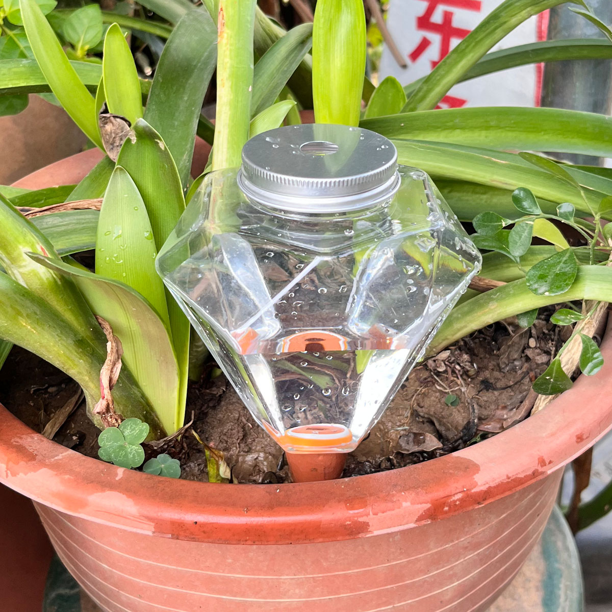 1 Buah Mesin Penyiram Plastik  - Automatic Plant Waterer ulasan dan harga