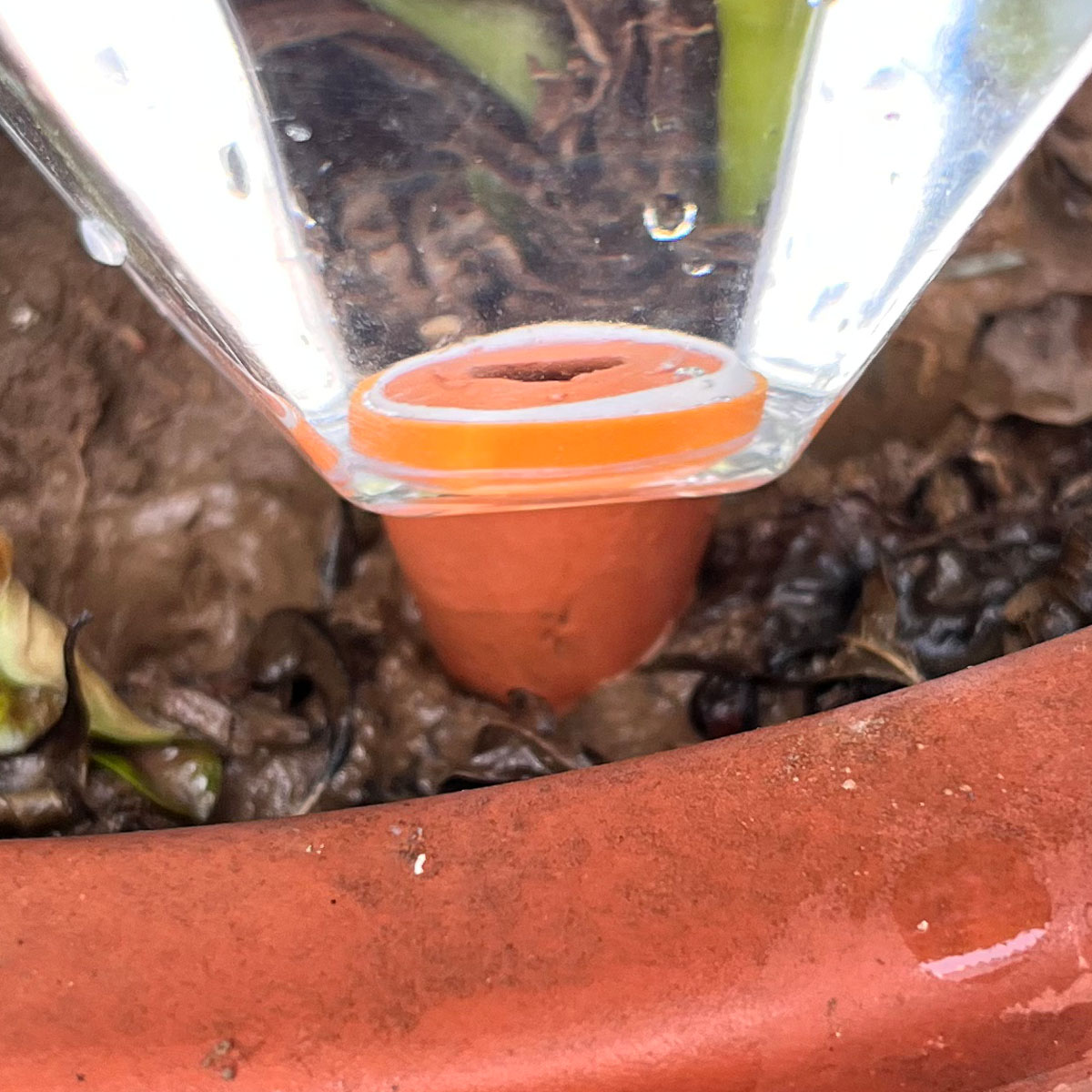 1 Buah Mesin Penyiram Plastik  - Automatic Plant Waterer ulasan dan harga