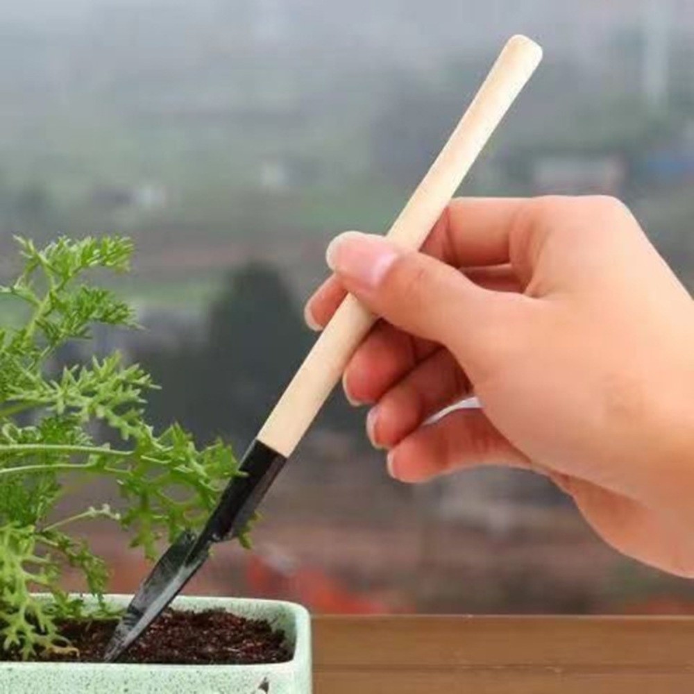 Set Alat Berkebun Mini Multifu - Spade Digging Fork ulasan dan harga