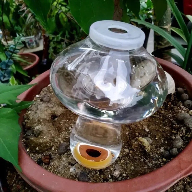 Penyemprot Air Otomatis untuk  - Automatic Plant Waterer ulasan dan harga