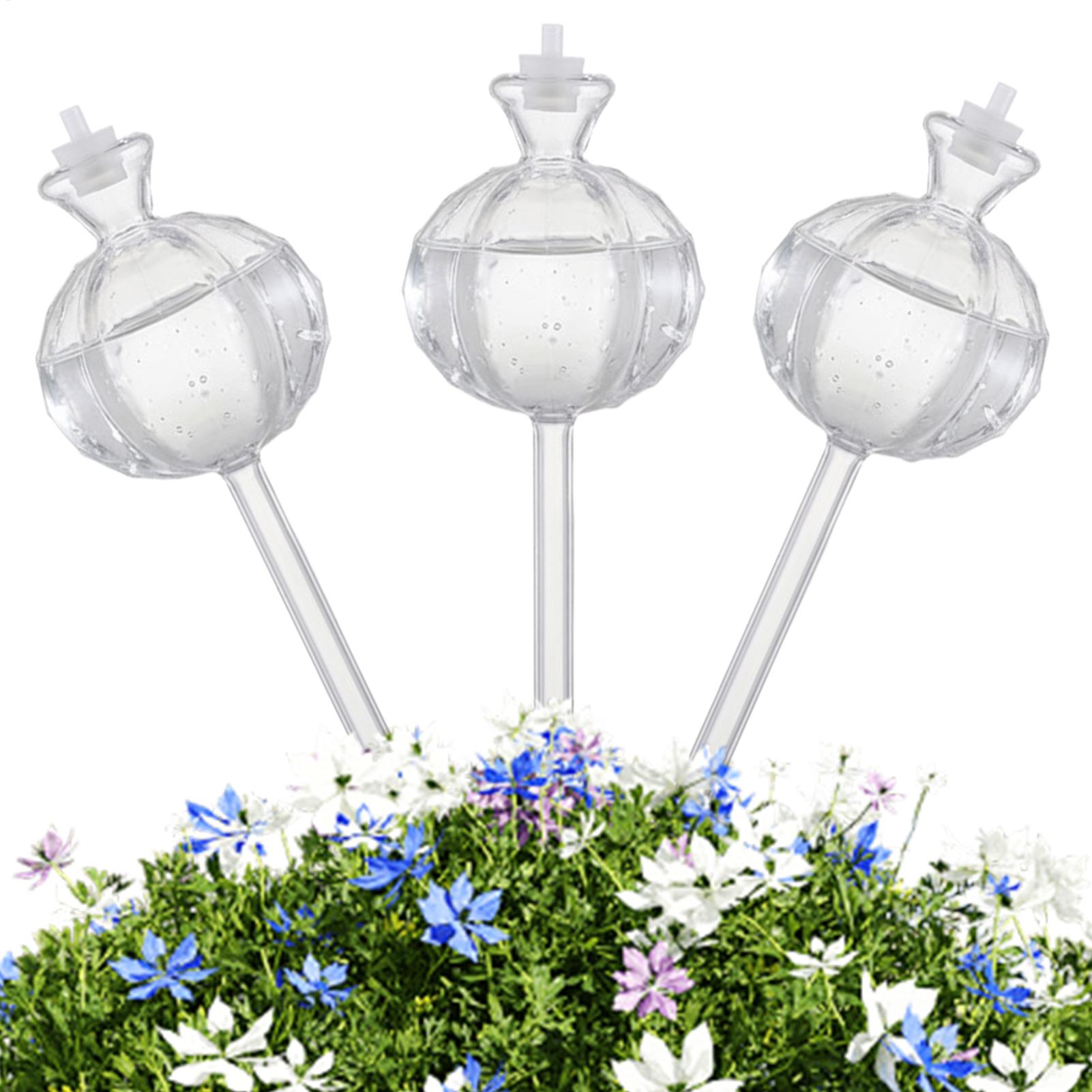Globe Penyiram Tanaman 3 Buah, - Automatic Plant Waterer ulasan dan harga